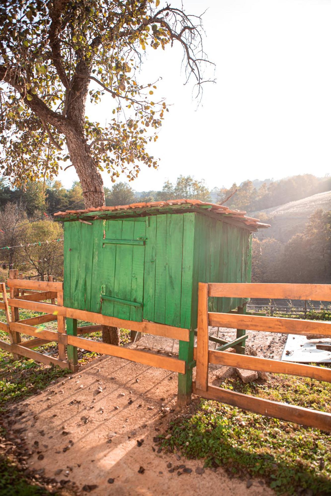 Villa Prenociste Lelic Valjevo Exterior foto
